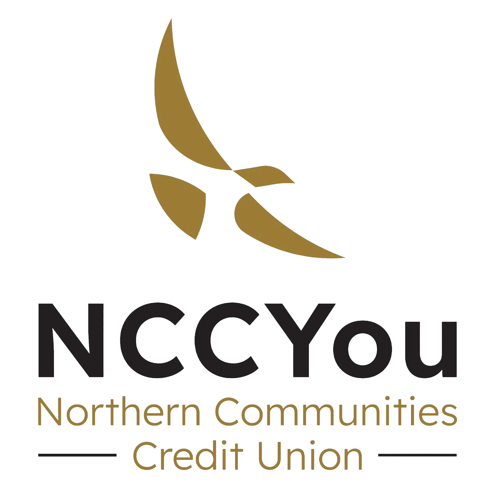 nccyou